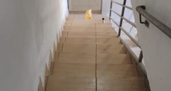 Casa com 3 dormitórios  LO  116